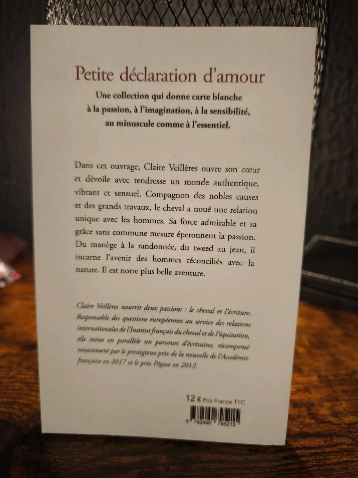 Pequena declaração de amor ao cavalo – photo 2
